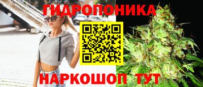 молекула духа Ливны
