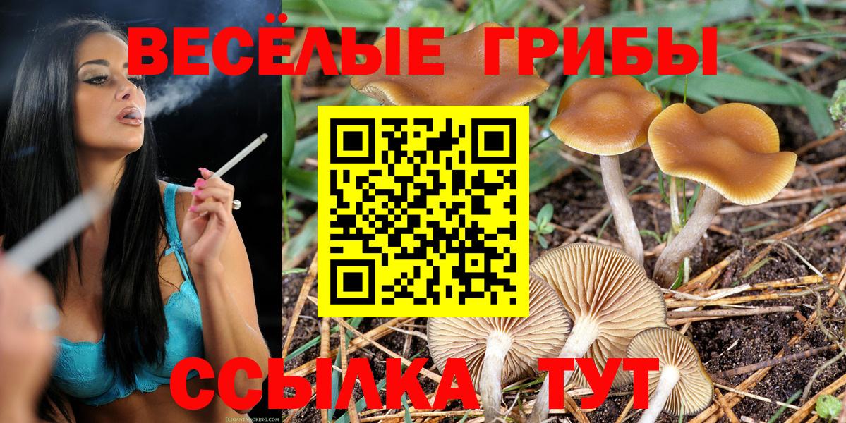 Псилоцибиновые грибы Cubensis Ярославль